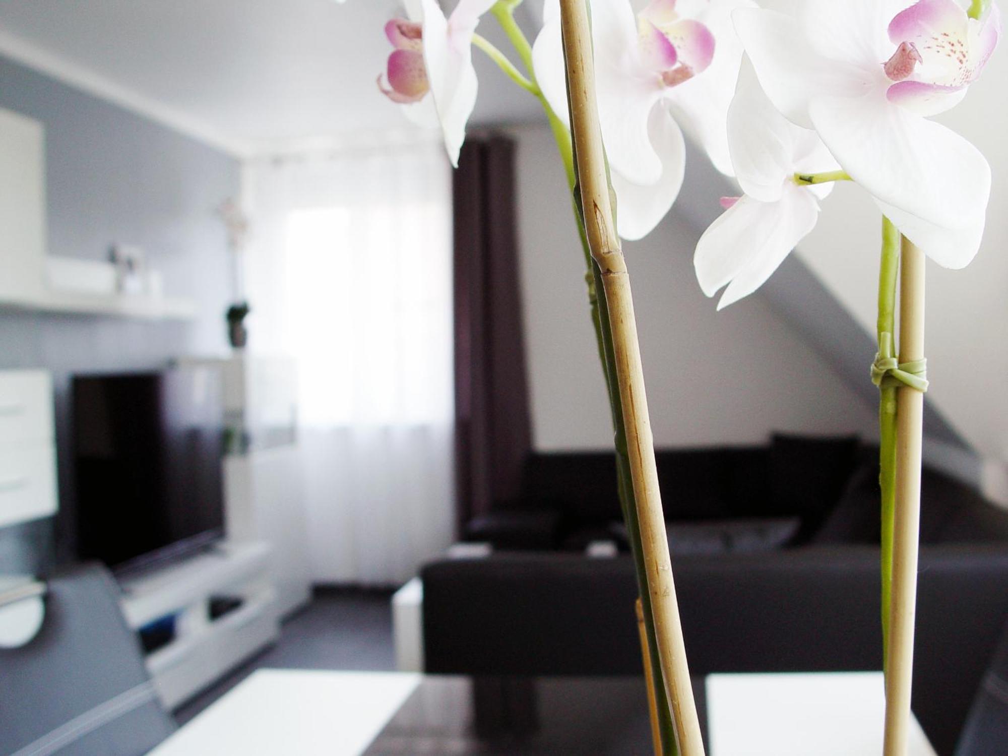 La Domus Premium Apartment Lotte Luaran gambar